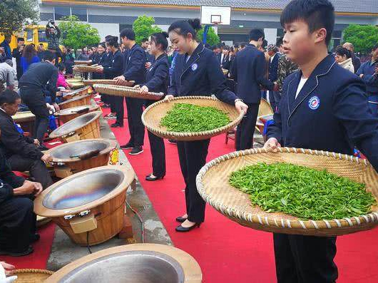 舉世矚目張家界開展茶園旅游科普項(xiàng)目 